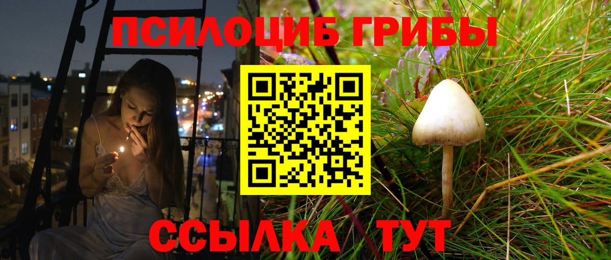 Галлюциногенные грибы ЛСД Нововоронеж