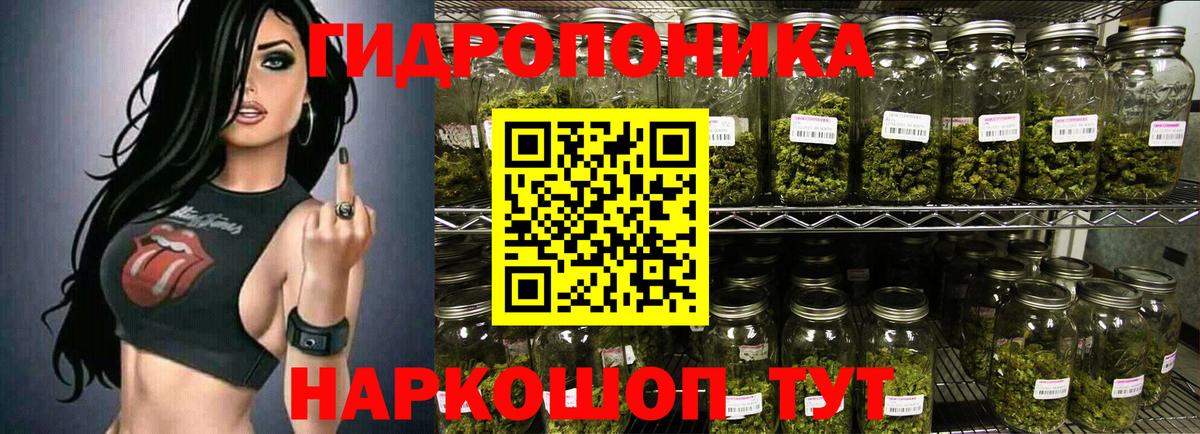 Бошки Шишки VHQ  Бошки Шишки ГИДРОПОН  Вход с VPN  Нововоронеж  Конопля SATIVA & INDICA 
